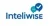 133 inteliwise ai