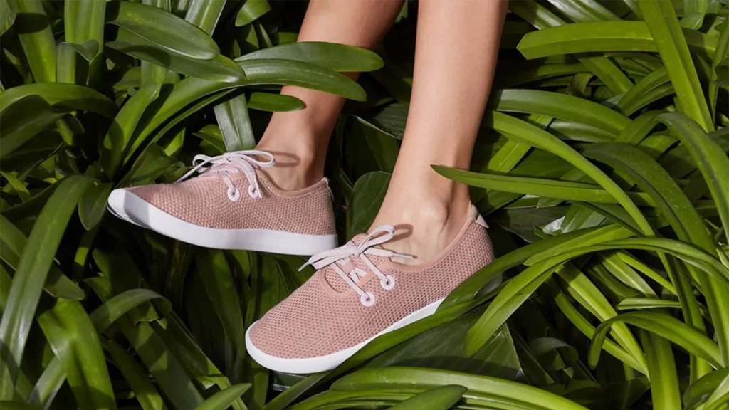 allbirds porzuca buty kupuje gpu narodziny newbird ai