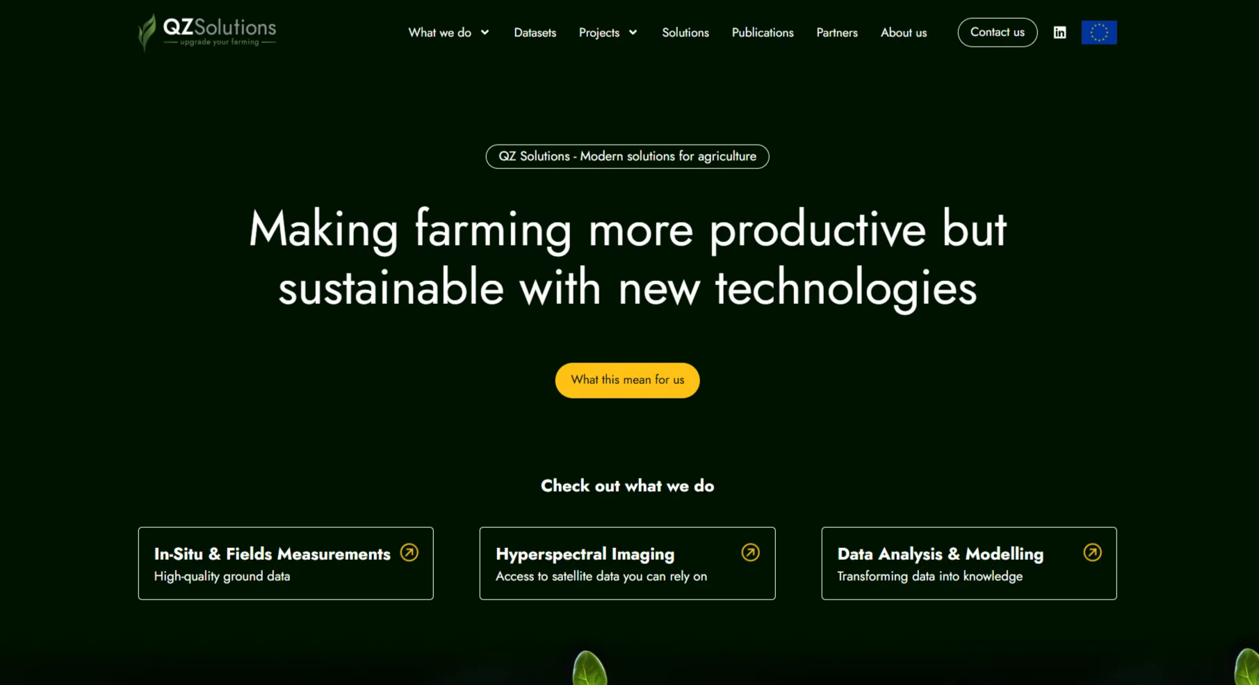 QZ Solutions