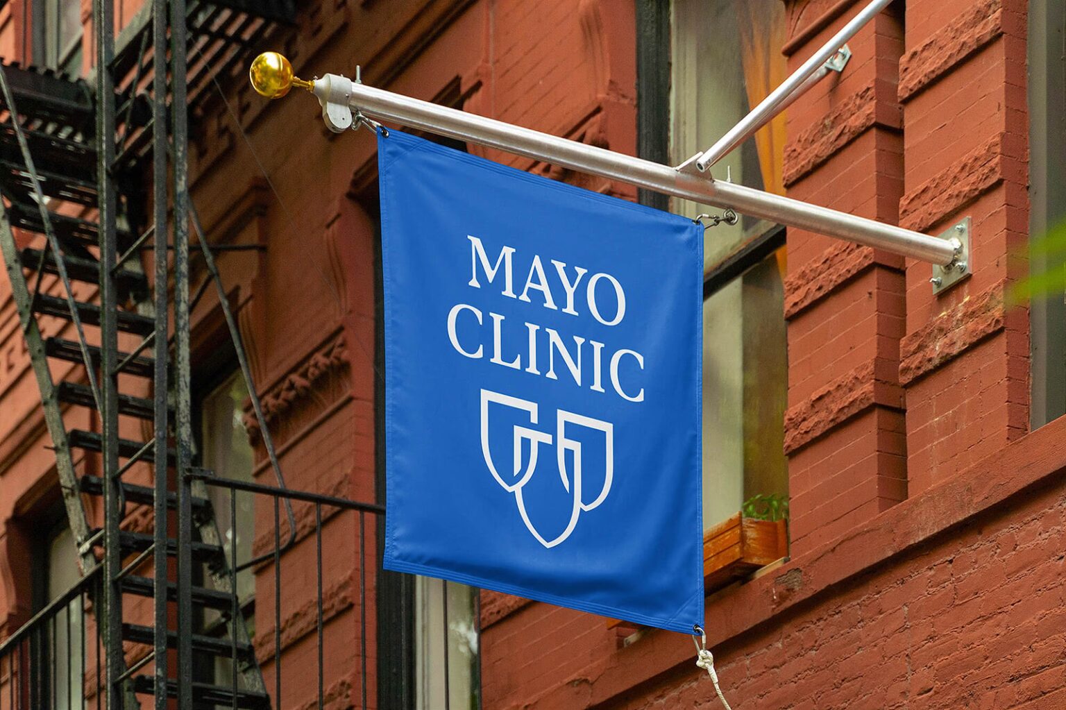 Mayo Clinic: model AI wskazuje ryzyko raka trzustki trzy lata przed diagnozą na podstawie zwykłej dokumentacji medycznej