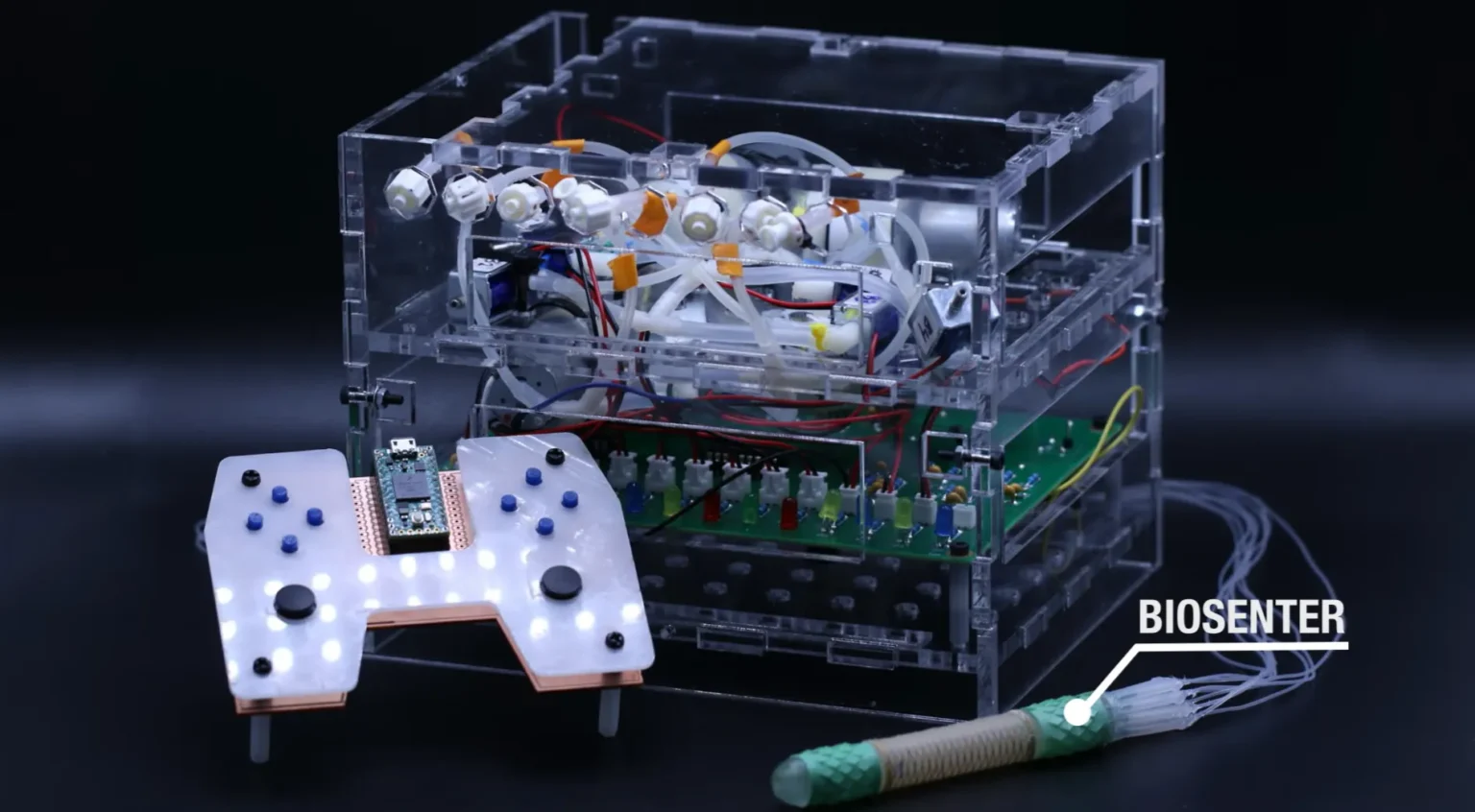 Robot BIOSENTER z MIT pełznie przez jelito cienkie jak wąż. W testach na świniach pobierał wycinki i podawał leki